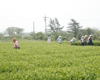 2012년 (제주도) …